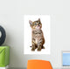 kitten isolated Wall Decal