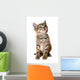 kitten isolated Wall Decal