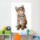 kitten isolated Wall Decal