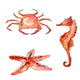 Watercolor sea creatures Wall Decal