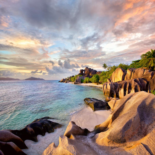 Anse Source D'argent Beach in the Evening Wall Decal