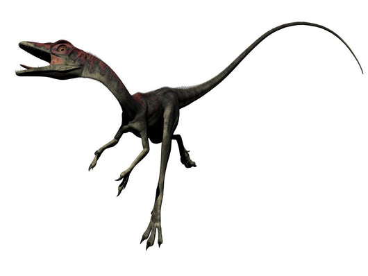 compsognathus dinosaur Wall Decal