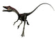 compsognathus dinosaur Wall Decal