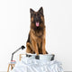German Shepherd Dog Wall Decal