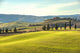 Artistic Tuscan landscape with cypresses, wavy fields and house Wall Decal