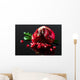 Pomegranate Wall Decal