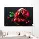 Pomegranate Wall Decal