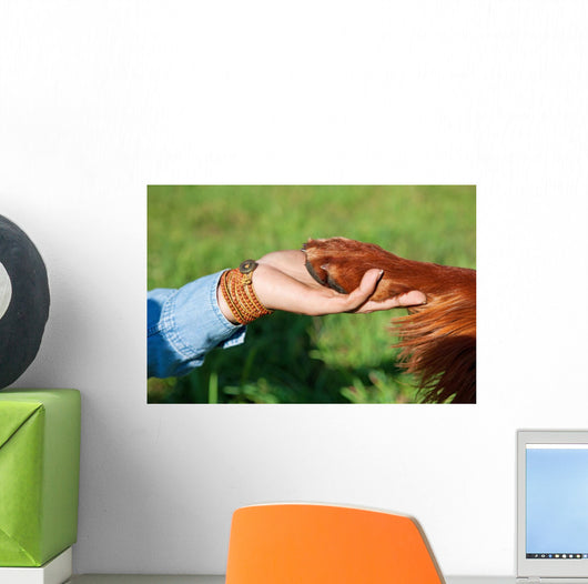 Human Hand Holding Dog's Wall Decal