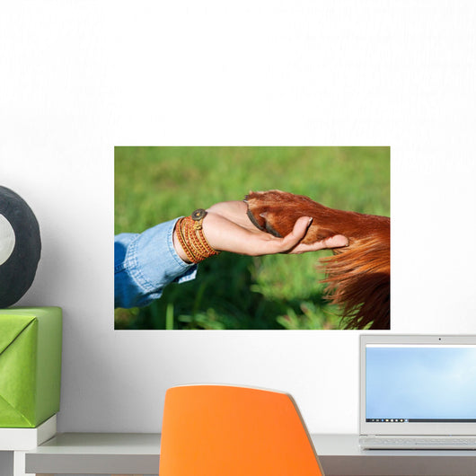 Human Hand Holding Dog's Wall Decal