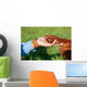 Human Hand Holding Dog's Wall Decal