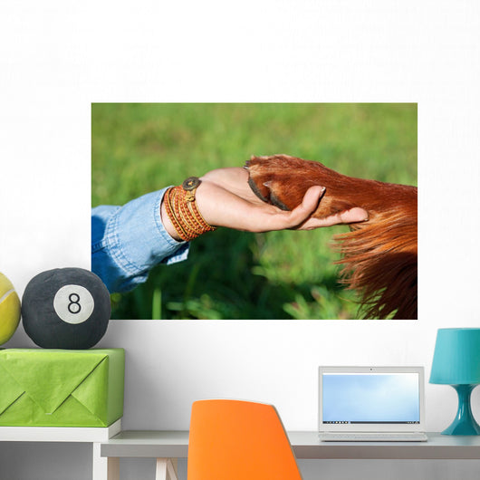 Human Hand Holding Dog's Wall Decal