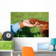 Human Hand Holding Dog's Wall Decal