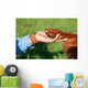 Human Hand Holding Dog's Wall Decal