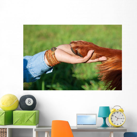 Human Hand Holding Dog's Wall Decal