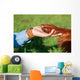 Human Hand Holding Dog's Wall Decal