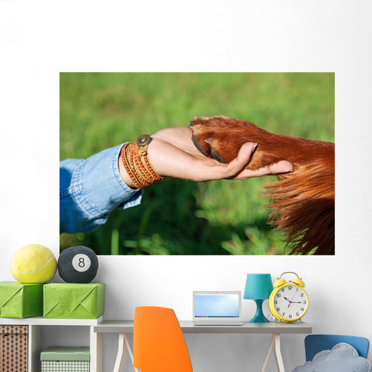 Human Hand Holding Dog's Wall Decal