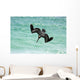 Single Pelican Fishing Wall Decal