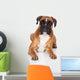 beautiful german boxer dog lying down Wall Decal