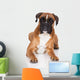 beautiful german boxer dog lying down Wall Decal