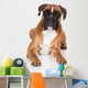 beautiful german boxer dog lying down Wall Decal