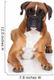beautiful german boxer dog lying down Wall Decal