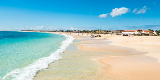 Panoramic Santa Maria Beach Wall Decal