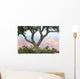 Pine Tree foreground to Grand Canyon Wall Decal