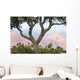 Pine Tree foreground to Grand Canyon Wall Decal