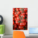 Tomatoes Wall Decal
