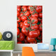Tomatoes Wall Decal