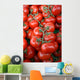Tomatoes Wall Decal