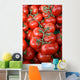 Tomatoes Wall Decal