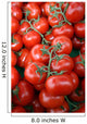 Tomatoes Wall Decal