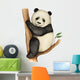 Panda Wall Decal