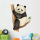 Panda Wall Decal