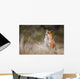 red fox Wall Decal