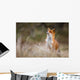red fox Wall Decal