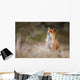 red fox Wall Decal