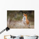 red fox Wall Decal