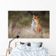 red fox Wall Decal