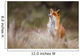 red fox Wall Decal