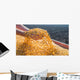 Corn Seed Wall Decal