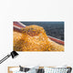Corn Seed Wall Decal
