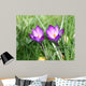 Open to Sky Wall Decal