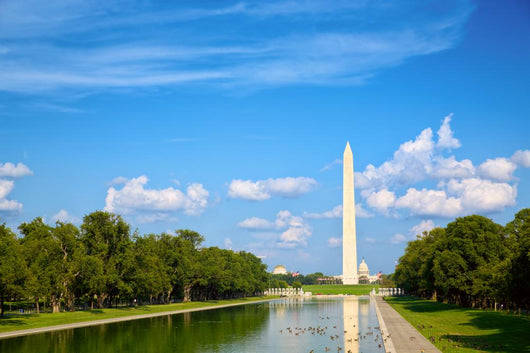 Washington Monument National Mall Wall Decal