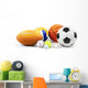 Sports balls Wall Decal