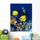 Female Scuba Diver Exploring Wall Decal