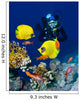 Female Scuba Diver Exploring Wall Decal
