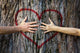 Couple Touching Heart Wall Decal