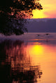 Canada Geese Landing on Lake at Sunrise Wall Decal